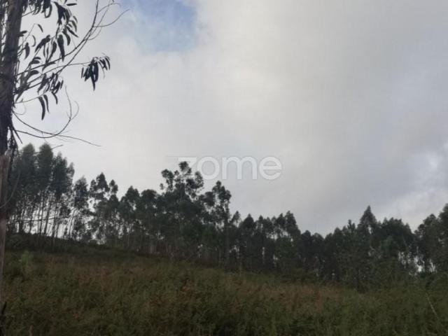 Terreno venda em Figueira Da Foz, Coimbra