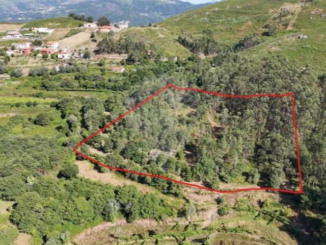 Terreno venda em Vila Verde, Braga