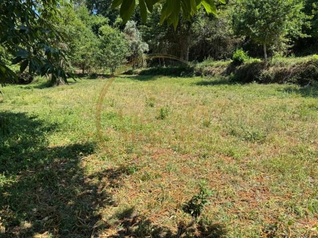 Terreno venda em Figueira Da Foz, Coimbra