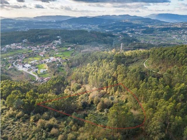 Terreno venda em Ribeira do Neiva, Vila Verde