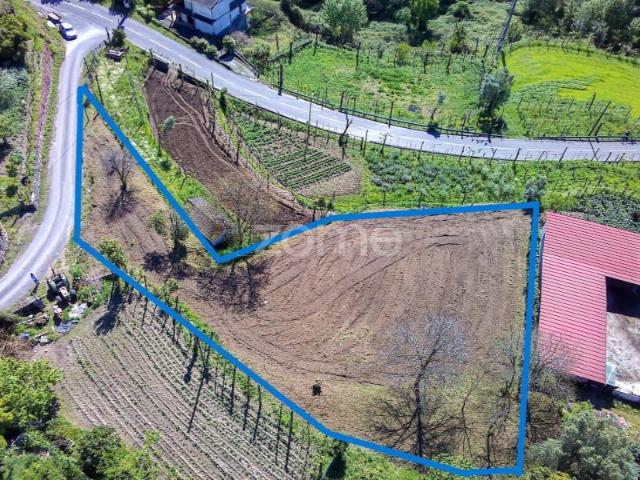 Terreno venda em Figueira Da Foz, Coimbra