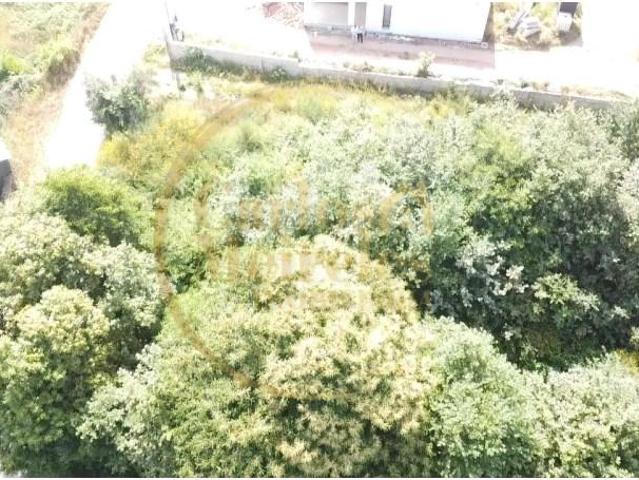 Terreno venda em Figueira Da Foz, Coimbra