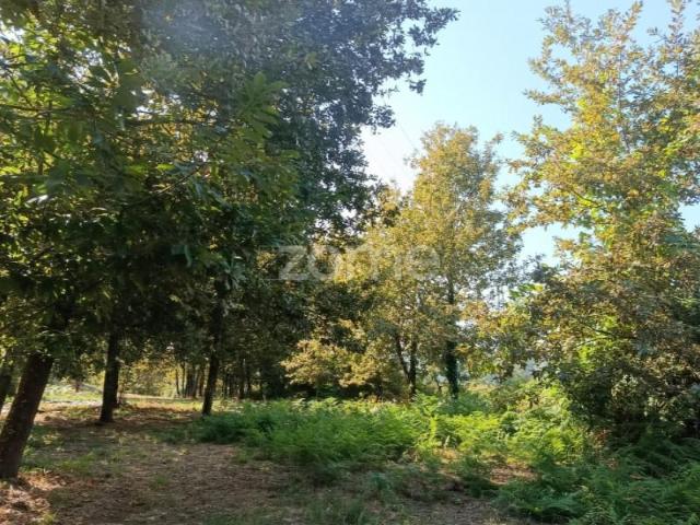Terreno venda em Figueira Da Foz, Coimbra