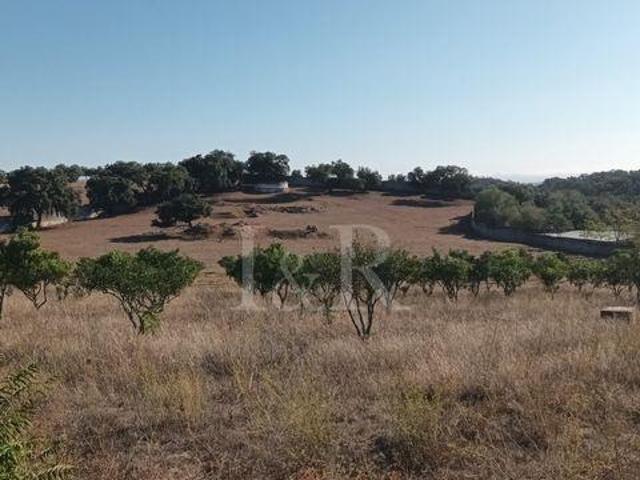 Terreno venda em Vila Viçosa, Évora