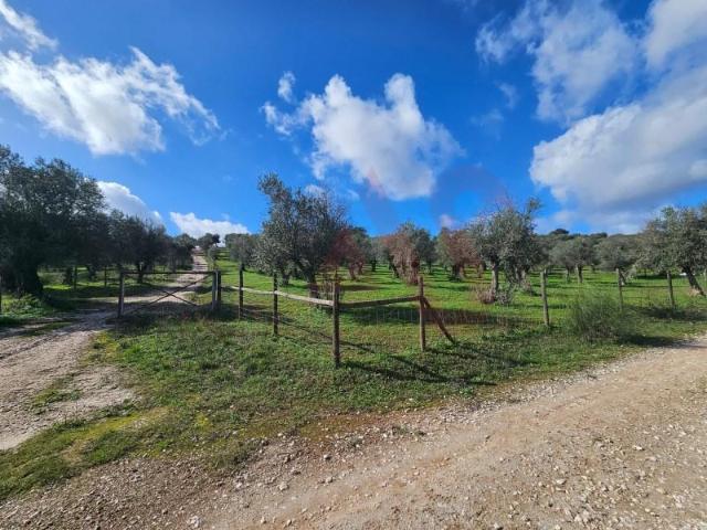 Terreno venda em Vila Viçosa, Évora