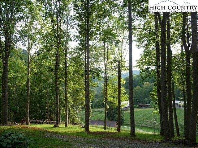 Land for sale in Watauga, North Carolina