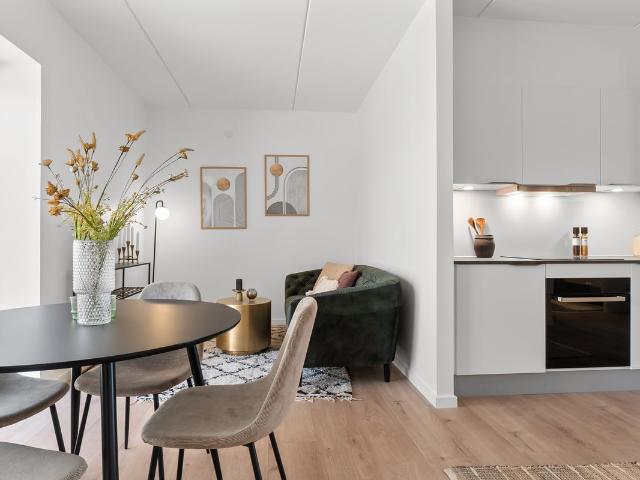 Hus til leje i Viborg, Viborg Kommune