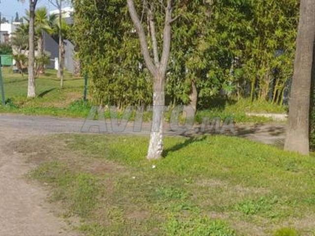 Propriété vente à Rbat