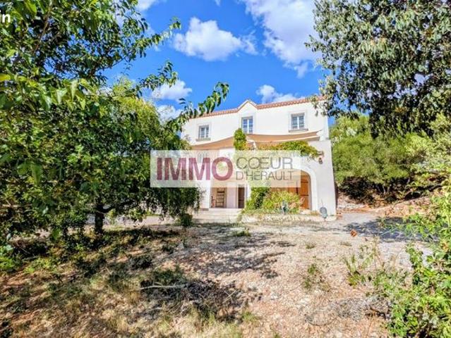 Maison vente à Puéchabon, Hérault