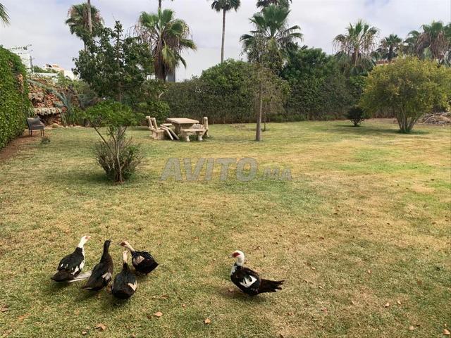 Propriété vente à El Ma, Gharb-Chrarda-Beni Hssen