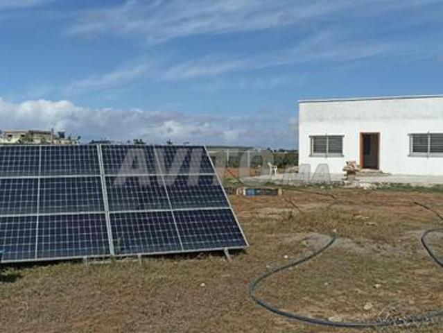 Propriété vente à El Ma, Gharb-Chrarda-Beni Hssen