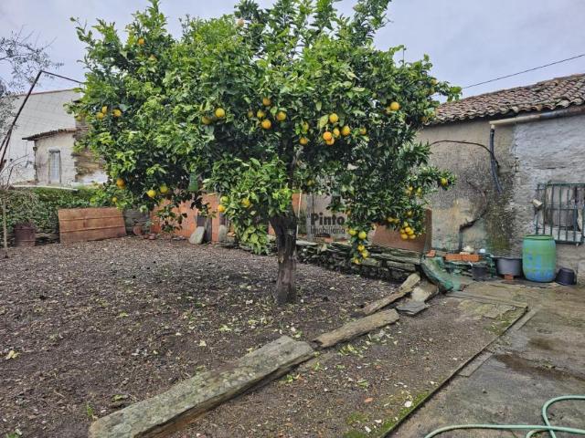 Casa venda em Castelo Branco