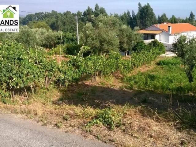 Casa venda em Arganil