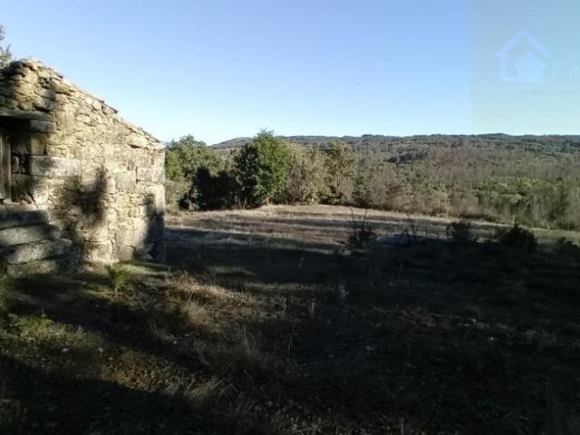 Casa venda em Penalva Do Castelo, Viseu