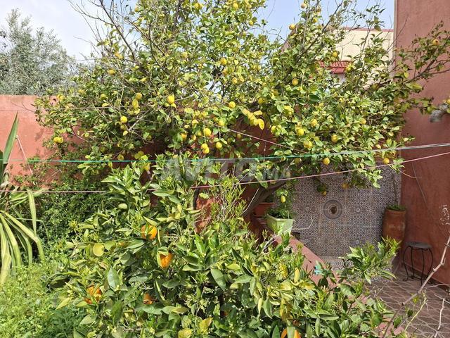 Propriété vente à Khouribga