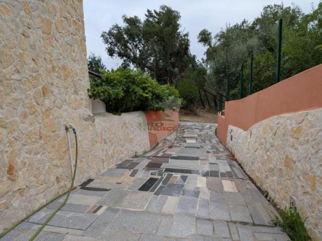 Casa alugar em Castelo Branco, Cumeada