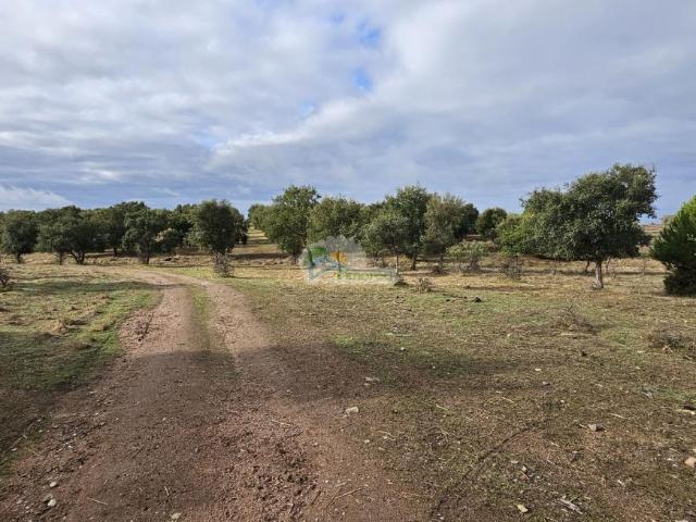 Casa venda em Mourã, Beja