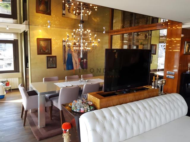 İstanbul Merkez, İstanbul içerisinde satılık Villa