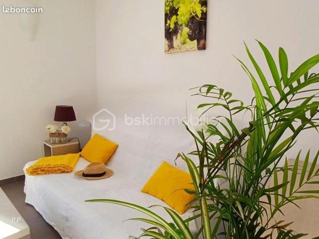 Maison vente à Pau, Vignes