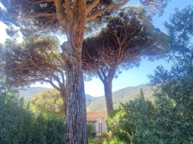 Maison vente à Arrondissement de Draguignan, Cavalaire-sur-mer