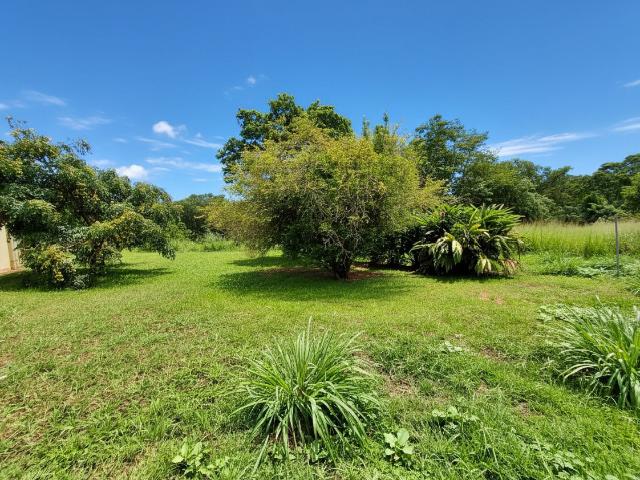 Maison location à Martinique