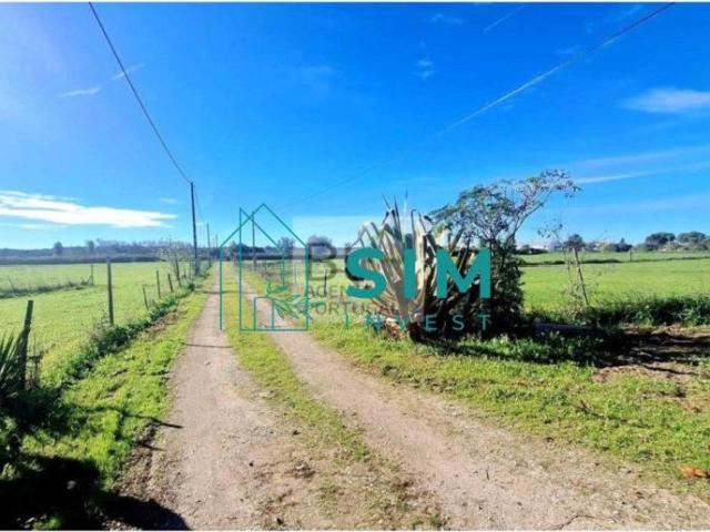 Casa venda em Évora