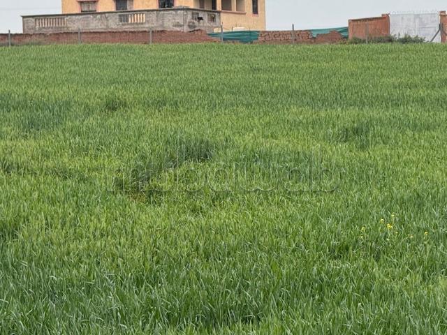Villa vente à Marrakech, L'Oriental