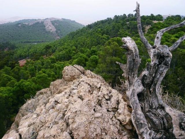 Villa vente à Ben Slimane
