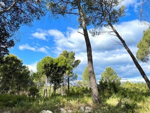 Maison vente à Montpellier, Prades-le-lez