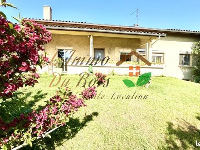 Maison vente à Vienne, Chanas