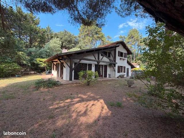 Maison vente à Arcachon, Lège-cap-ferret