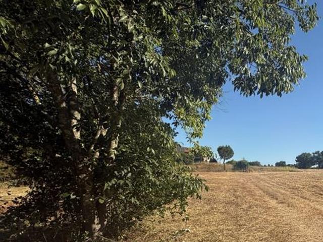 Maison vente à Hérault