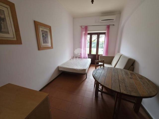 Casa alugar em Évora