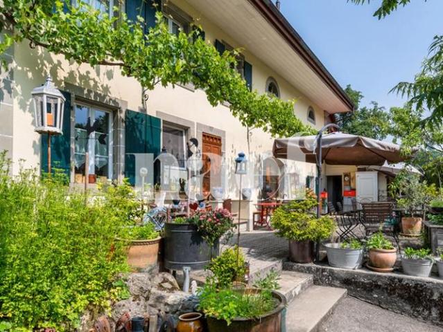 Haus mieten in Moudon, Waadt