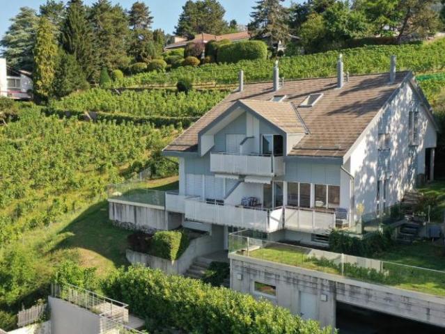 Haus kaufen in Blonay, Waadt