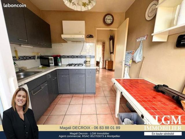 Maison vente à Montpellier, Castelnau-le-lez