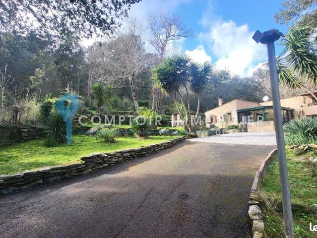 Maison vente à Bastia, Tomino