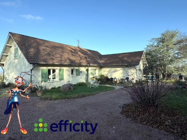 Villa vente à Roanne, Perreux