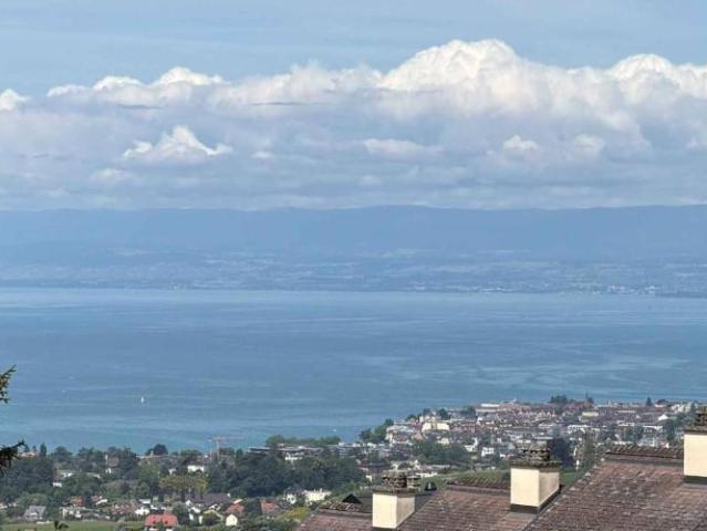 Haus kaufen in Chailly-Montreux, Waadt
