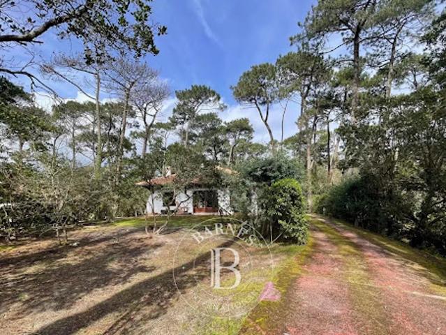 Villa vente à Arcachon, La Teste-de-buch