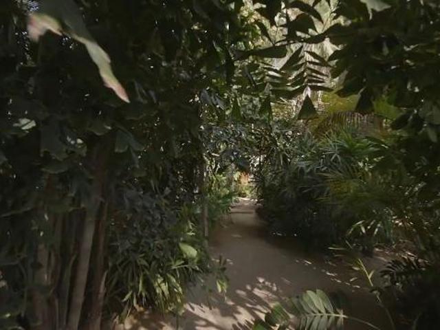 Villa for sale