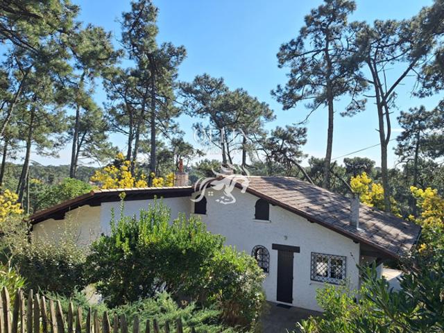 Maison vente à France métropolitaine, Lège-cap-ferret