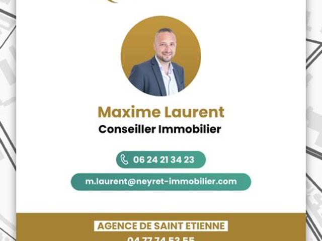 Maison vente à Saint-Étienne, Saint-martin-la-plaine