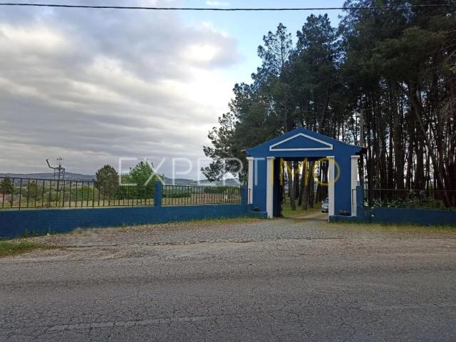 Casa venda em Castelo Branco, Caria