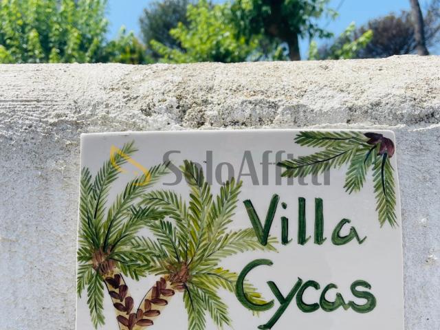 Villa Indipendente in affitto a Piripissa, Ischia