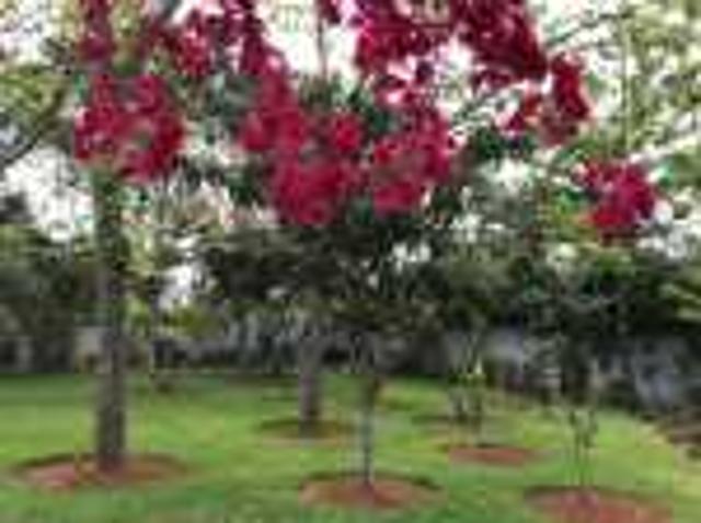 Propriété location à Rbat