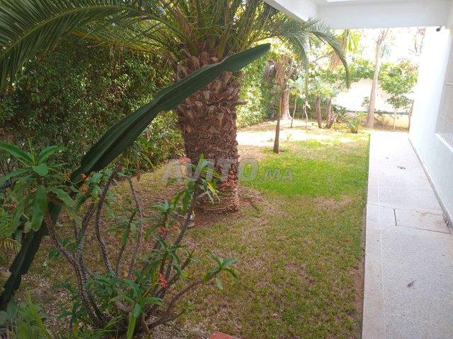 Propriété location à Hay Riad, Berkane
