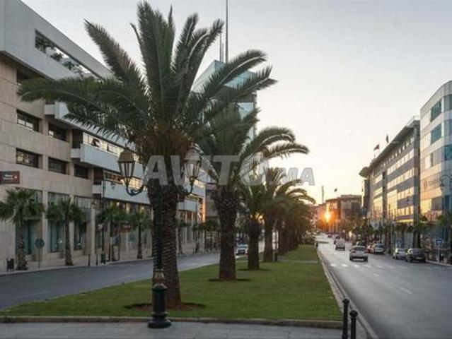 Propriété location à Hay Riad, Berkane
