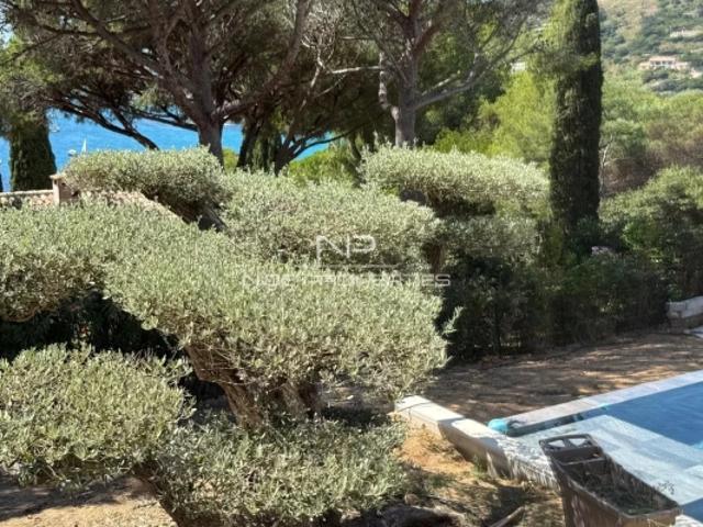 Maison vente à Arrondissement de Draguignan, Ramatuelle
