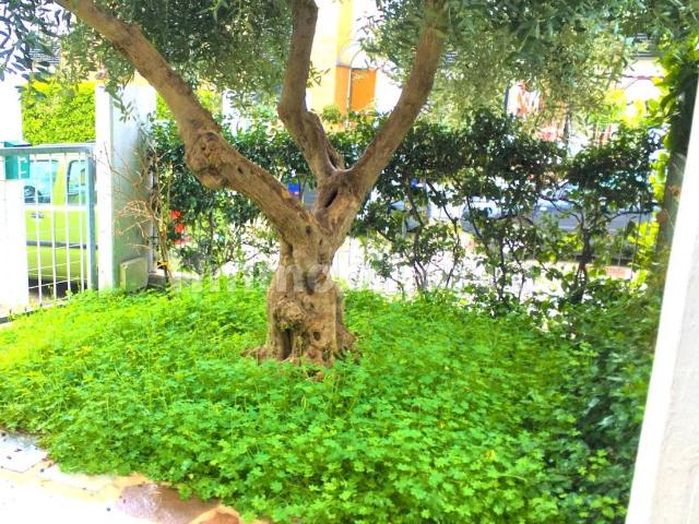 Villa Indipendente in affitto a Municipio 5, Puglia